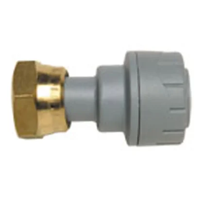Polyplumb Tap Connector (Brass Connecting Nut) - Straight